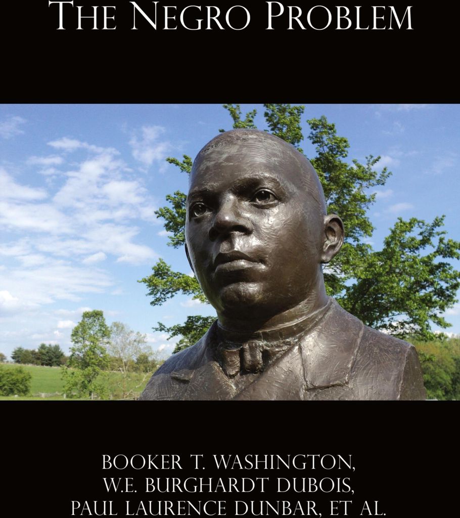The Negro Problem