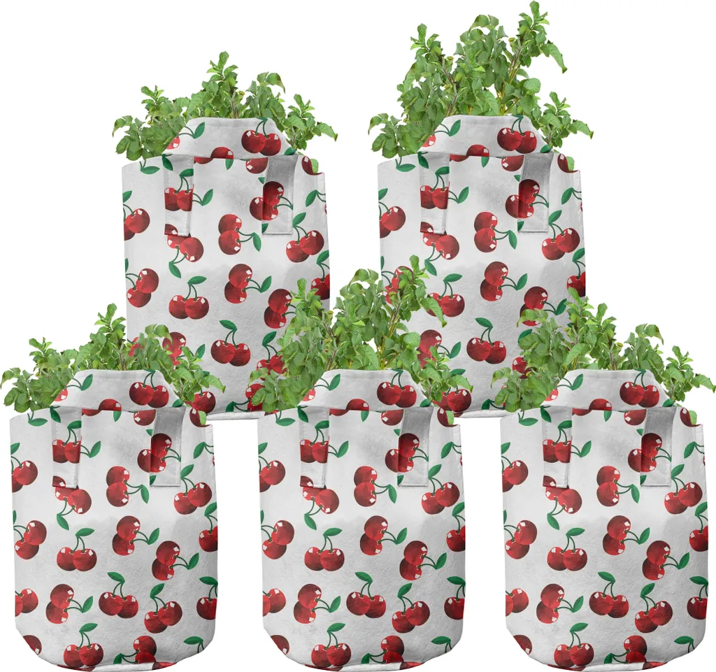 Pots en Tissu Haute Performance 5 Gallons avec Poignées Robustes