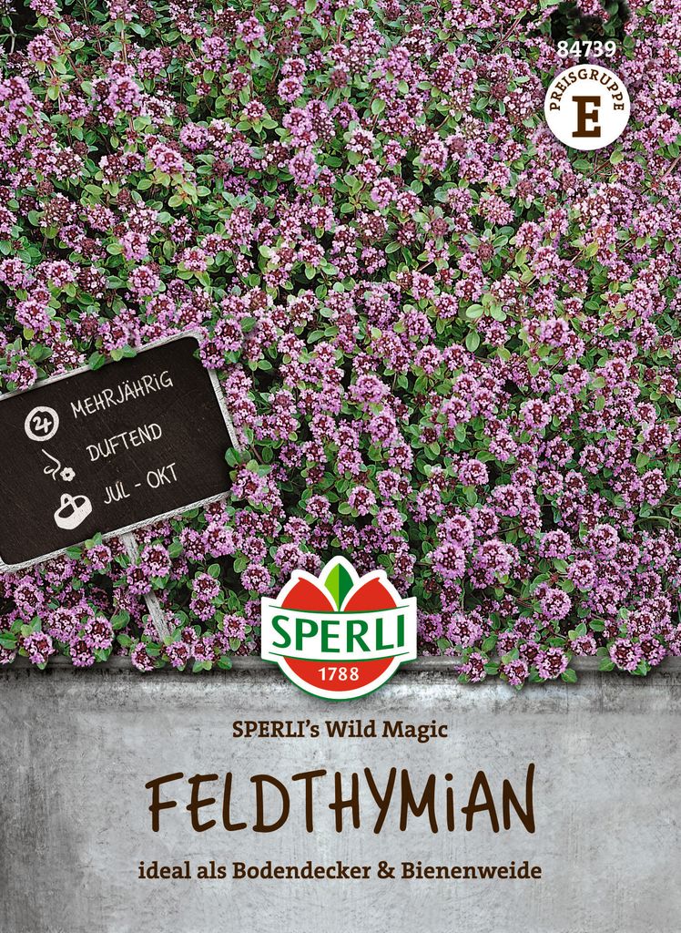 SPERLI Feldthymiansamen Wild Magic Thymus serpyllum 50 Pflanzen