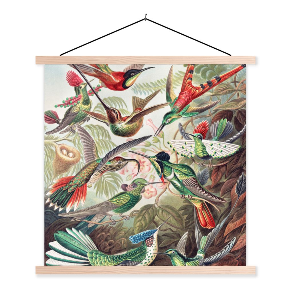 MuchoWow Textilposter Kolibri - Vintage - Ernst Haeckel - Vogel - Kunst - Natur 60x60 cm mit holzfarbenen Rahmen - Wanddekoration