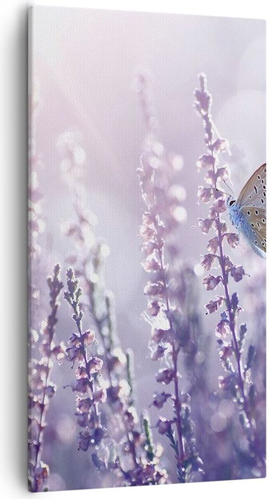 Bild auf Leinwand - Leinwandbild - Schmetterling Wiese Blume - 55x100cm - Wand Bild - Wanddeko - Leinwanddruck - Bilder - Kunstdruck - Wanddekorati...