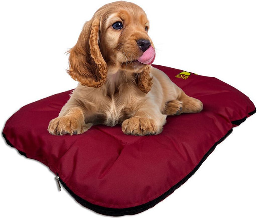 EVE Textile Hundebett Katzenbett 70x50x5 cm Rot Hundekorb Katzenkorb Hundekissen Katzenkissen Hundesofa Katzensofa Bett für Haustiere Hund und Katze