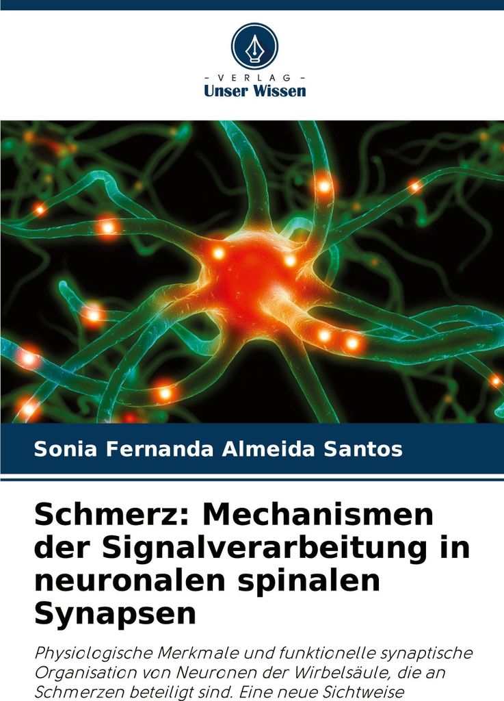 Schmerz: Mechanismen der Signalverarbeitung in neuronalen spinalen Synapsen