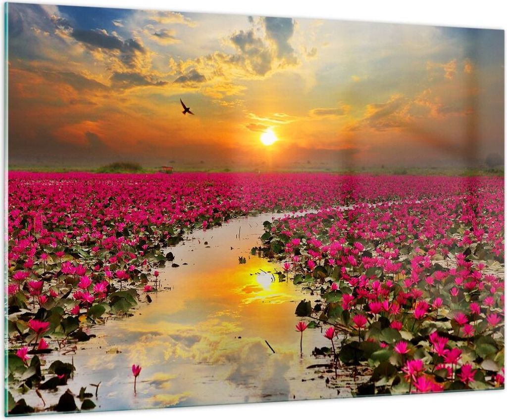 Bilder auf glas - See Blumen - 100x70cm - Glasbilder - Wandbilder - Bilder - Kunstdruck - zum Aufhängen bereit - Wanddekoration aus Glas - Glas Bi...