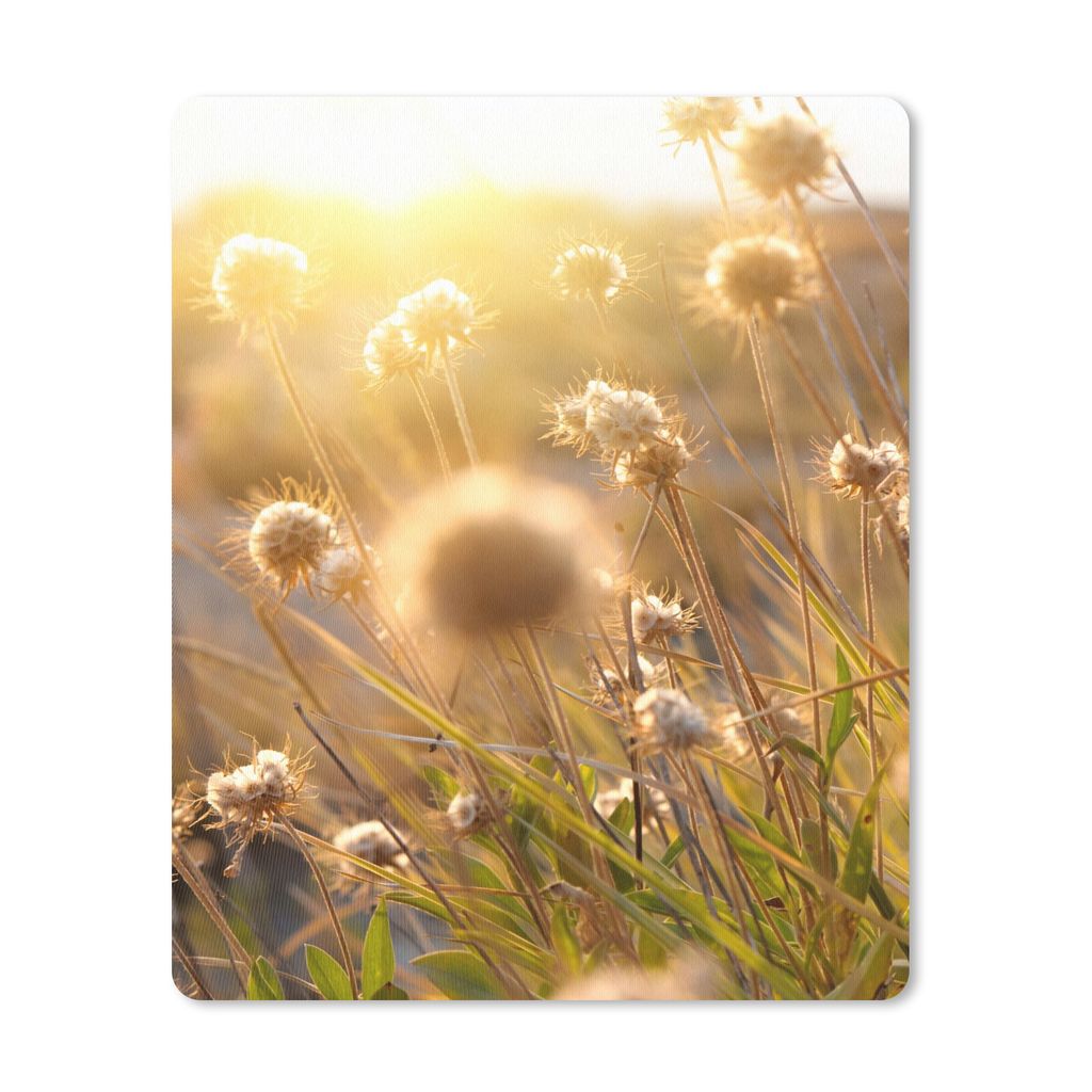 MuchoWow Mauspad Mousepad Pflanzen - Natur - Blumen - Sonne - Horizont 30x40 cm - Mousepads - Maus Mat - Pad - Mausunterlage - Mausmatten