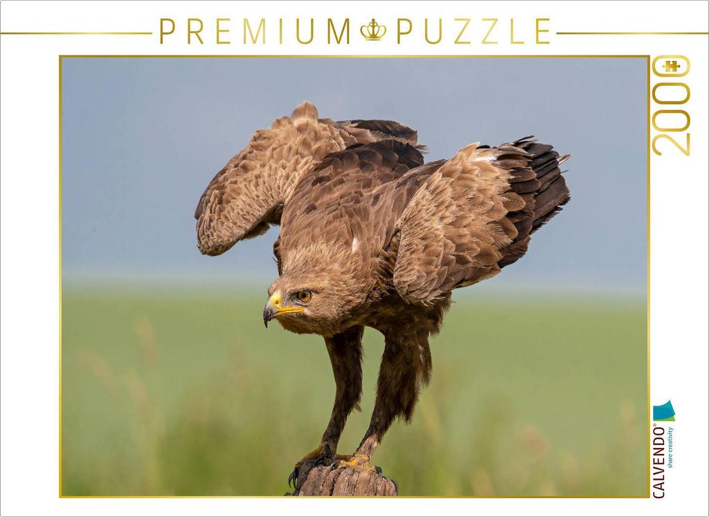 CALVENDO Puzzle SCHREIADLER (Clanga pomarina) adult 2000 Teile Puzzle quer | 2000 Teile Lege-Größe 90x67cm Foto-Puzzle für glückliche Stunden