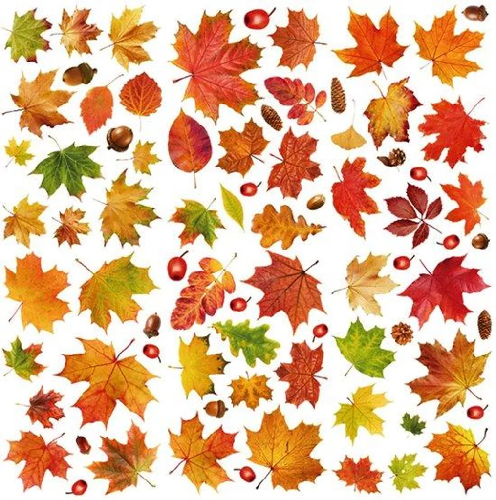 Décoration de fenêtre automne : 6 broderies feuilles chêne et châtaignier