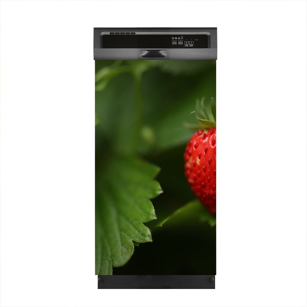 Magnete Dekorative 45x80 cm Küche Magnetmatte Spülmaschine - Wilde Erdbeere Beere