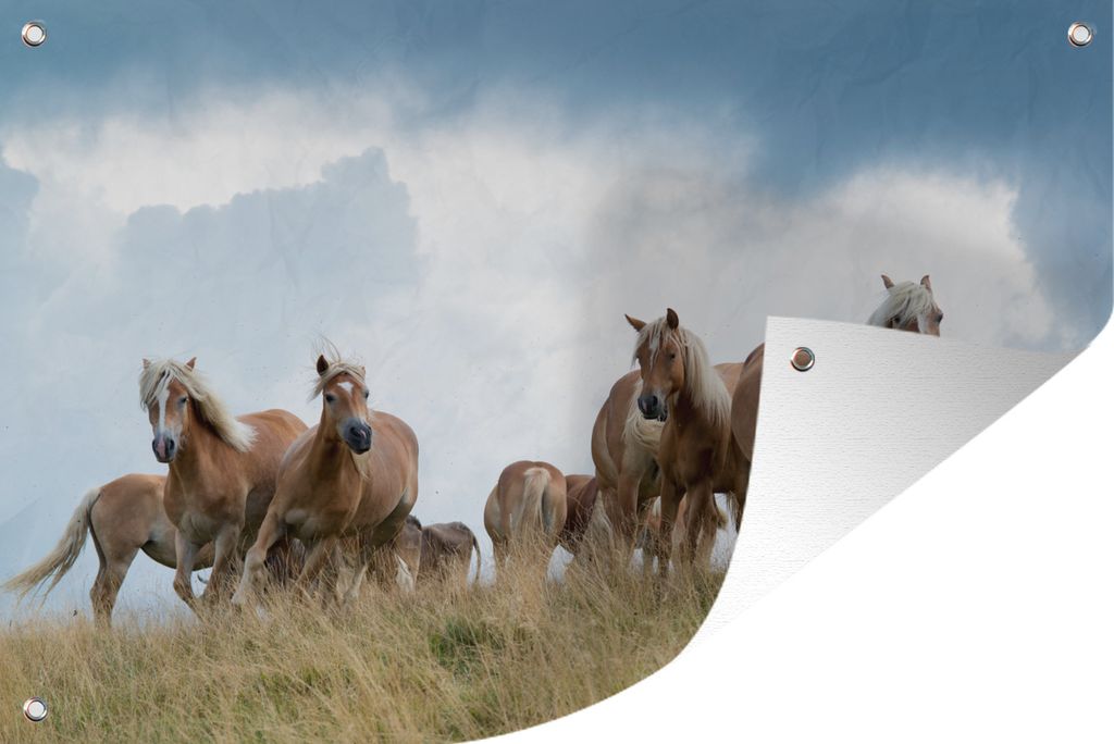 MuchoWow 90x60 cm Outdoor-Poster Gartendeko Sichtschutz Garten Poster für den Garten Haflinger Pferde
