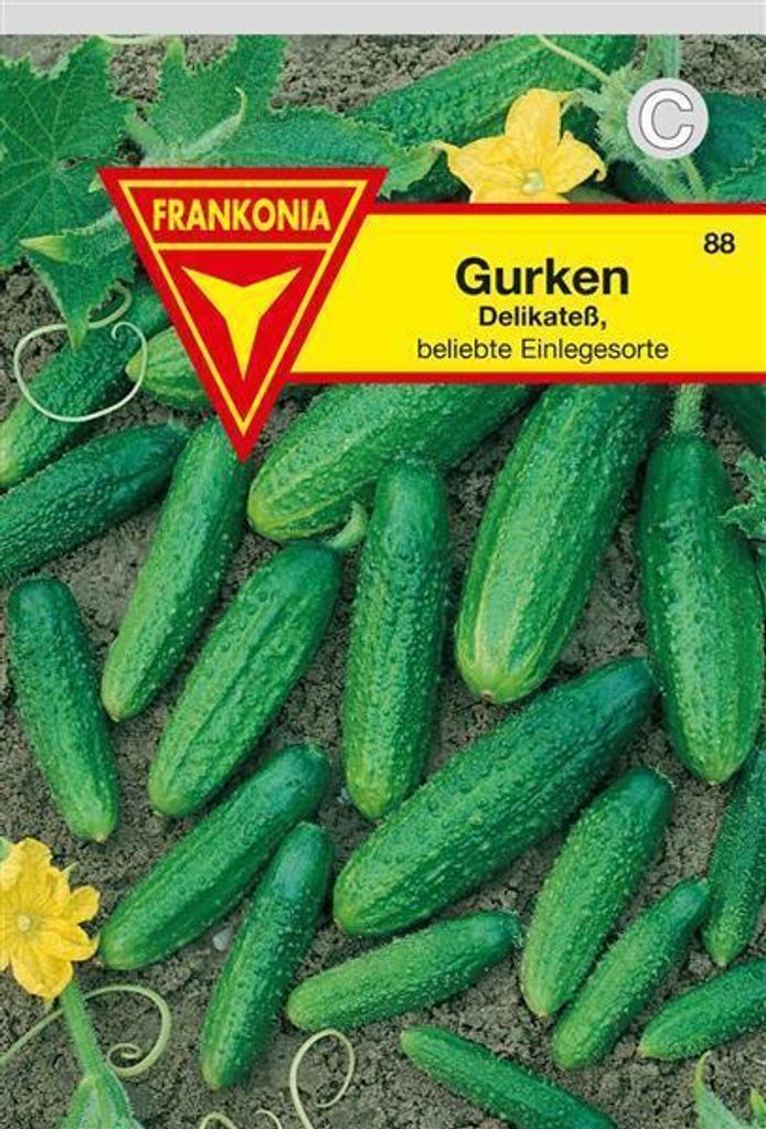Gurken Delikateß