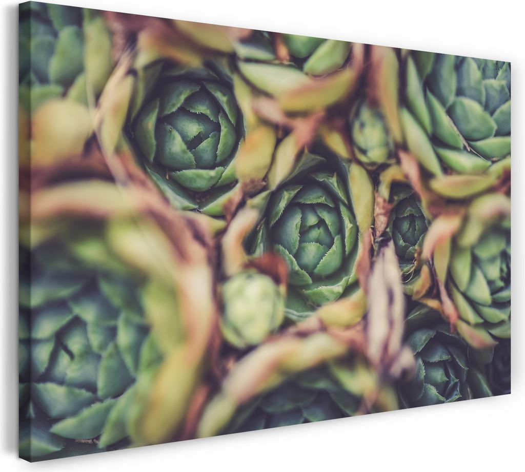 Leinwandbild (100x70cm): Wandbild zur Küchendeko, Motiv mit Artichoken in Nahaufnahme, echter Holz-Keilrahmen inkl. Aufhänger, handgefertigt in D...