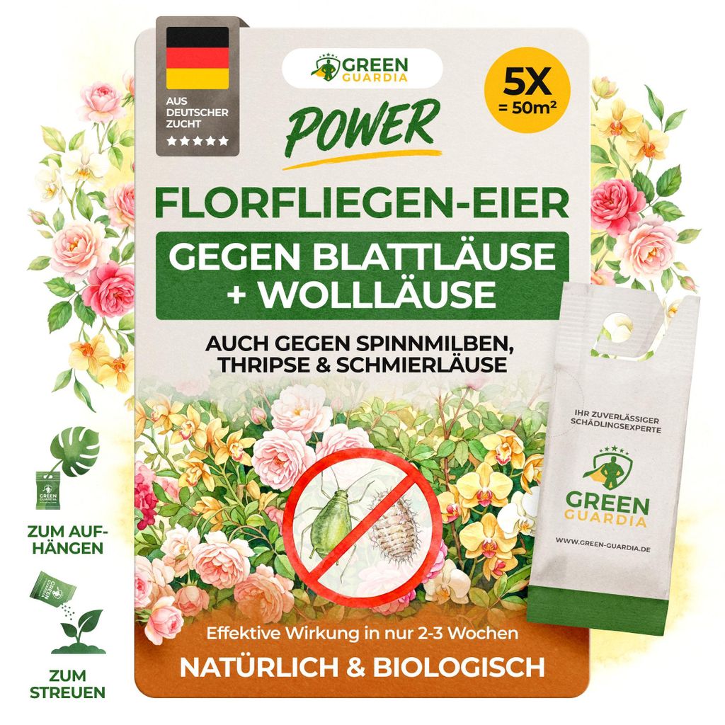 Power Florfliegenlarven gegen Blattläuse und Wollläuse – 5 Produktbild 