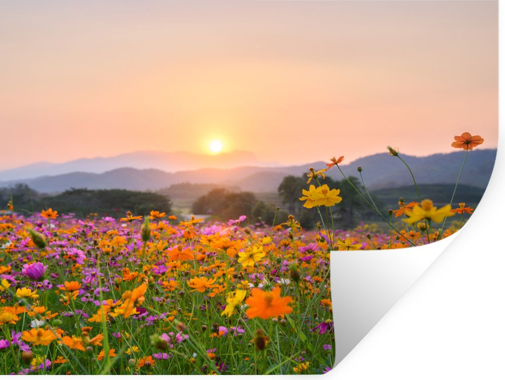 MuchoWow Wandtattoo Wandsticker Wandaufkleber Blumen - Sonnenuntergang - Berg 40x30 cm Selbstklebend und Repositionierbar - Faltenfrei