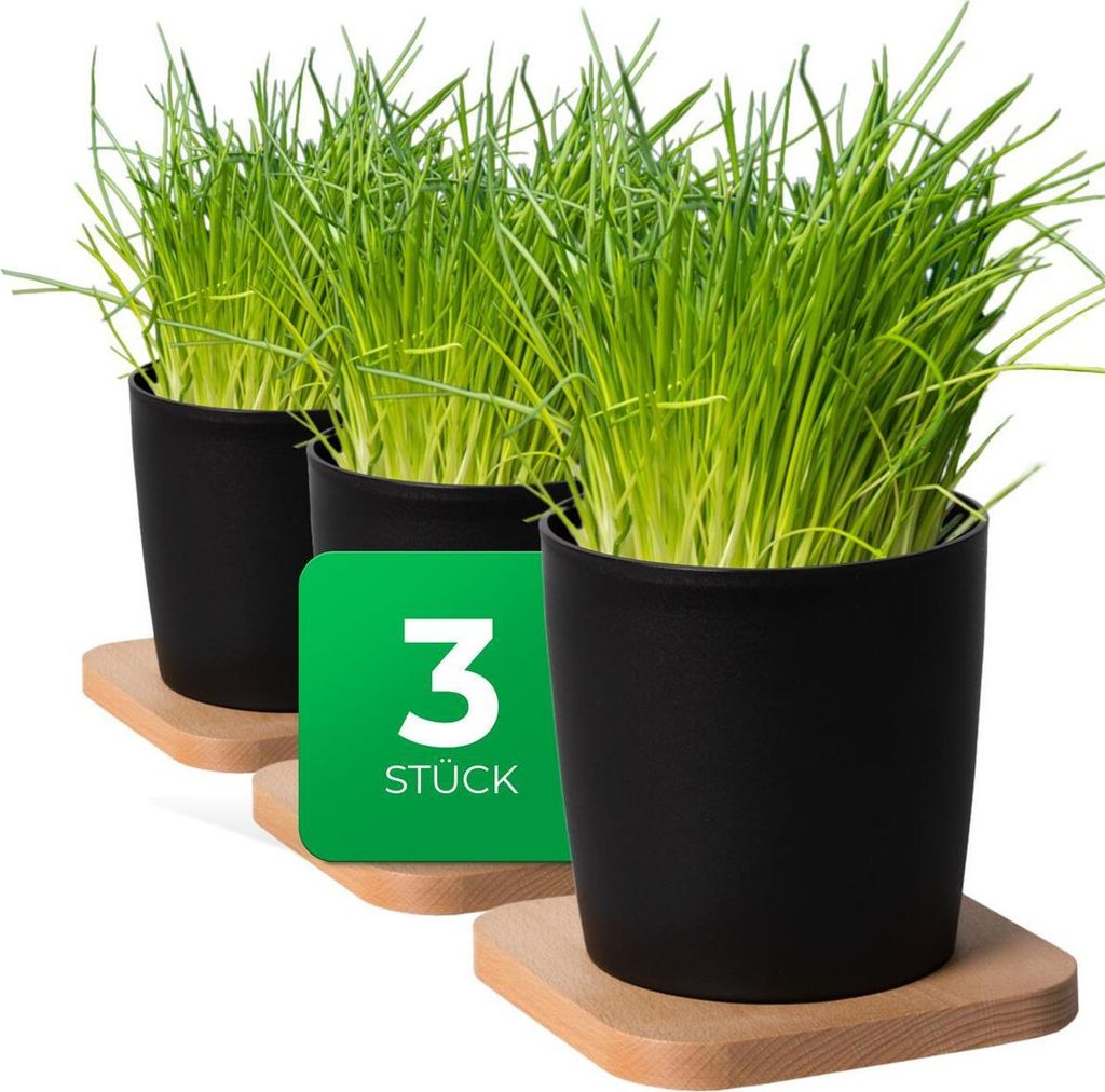 Novaliv Stilvolle 3er Set Kräutertopf mit Holzunterlage für jede Fensterbank, Für frische Küchenkräuter, Kräutergarten für die küche, Kräu...