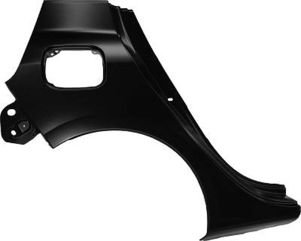 DIEDERICHS Seitenwand für RENAULT Clio III Schrägheck (BR0/1, CR0/1)