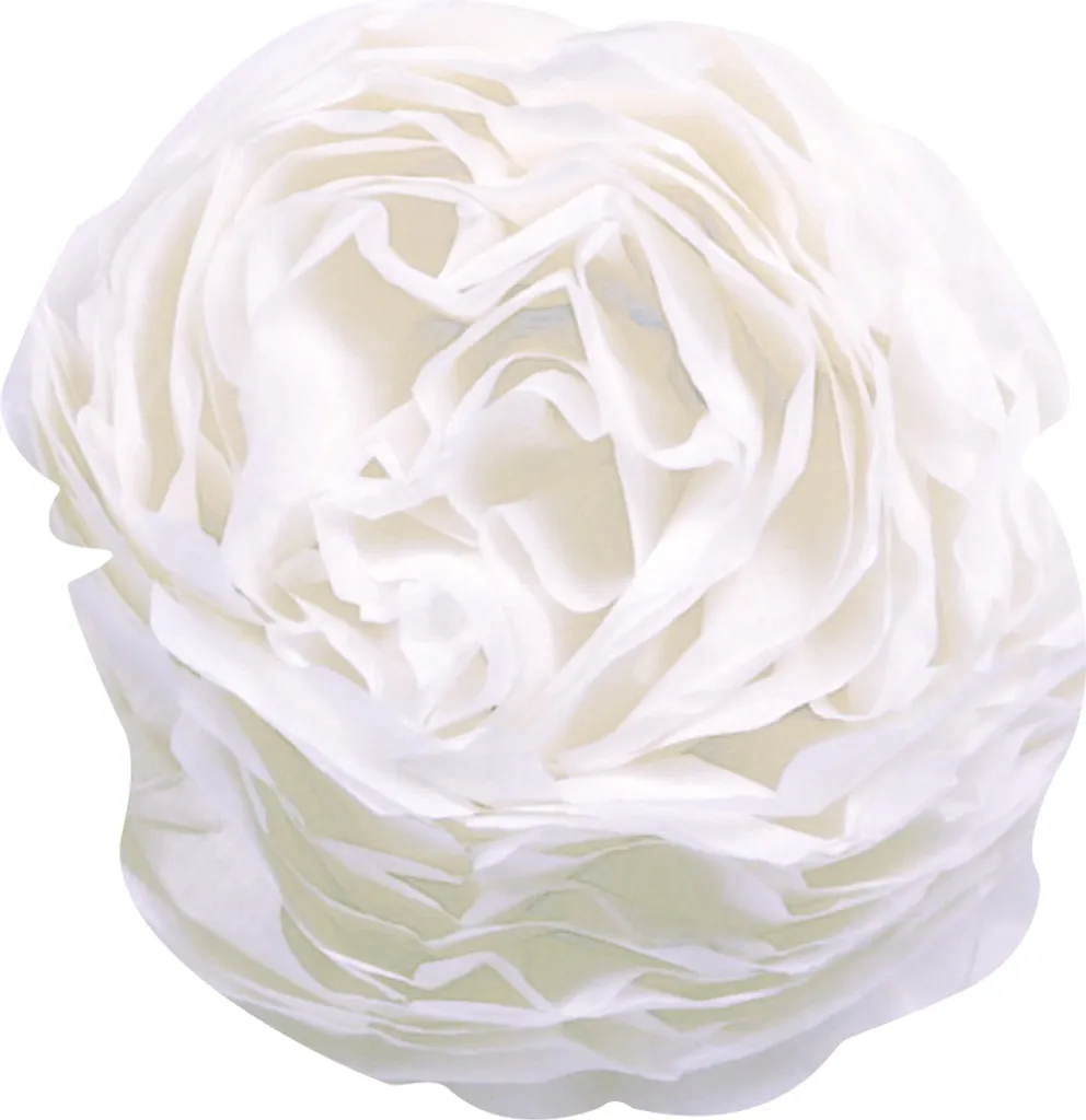 Papier de Soie Résistant Vert Herbe 500x750mm Clairefontaine 95421C