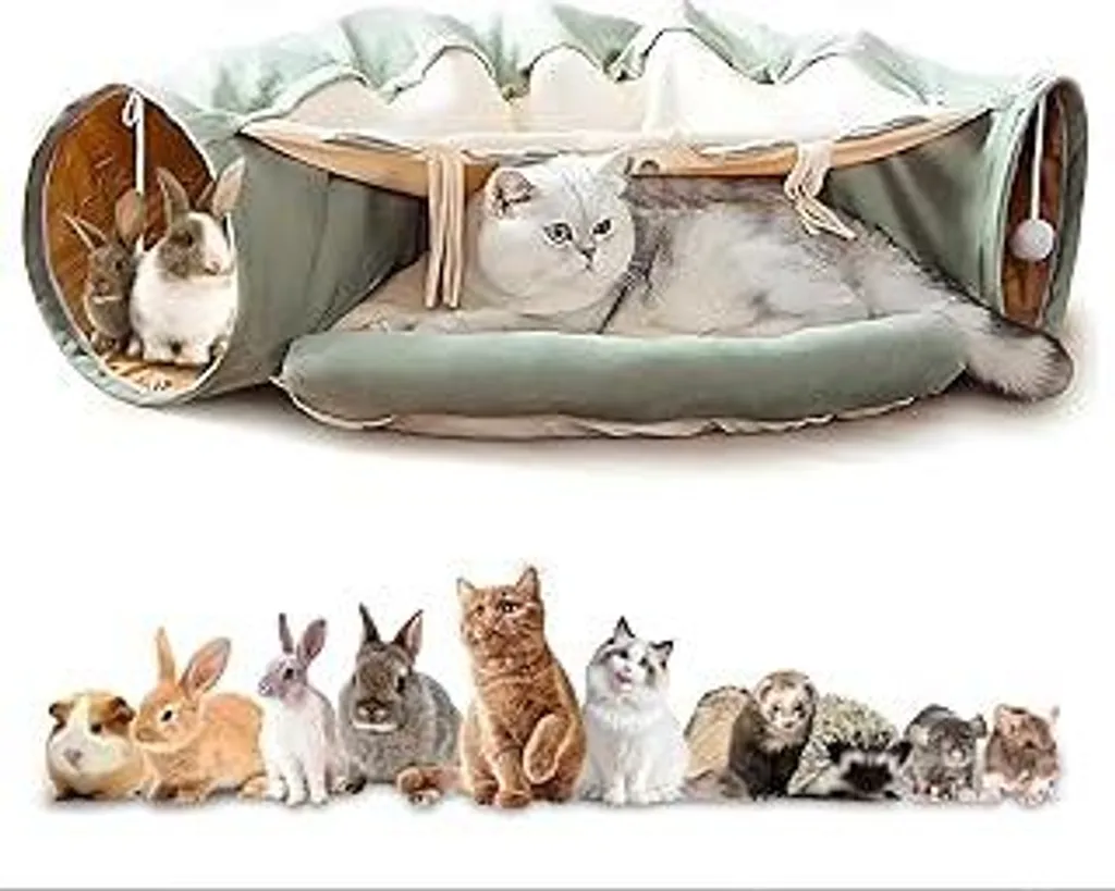 Cuccia Gatto con Tunnel Interattivo Verde: Design 2-in-1 Lavabile