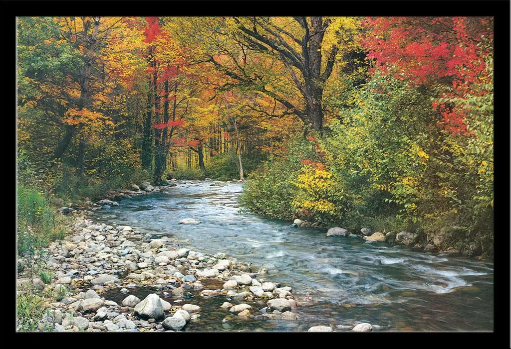 Offerta Poster Ruscello Foresta + Cornice Shinsuke Nera 91,5x61 cm
