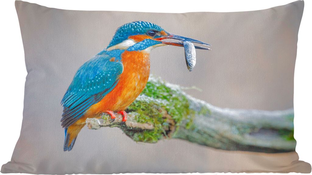 MuchoWow Zierkissen Sofakissen Wohnzimmer Dekokissen 50x30 cm Eisvogel - Fisch - Tier - Wohnzimmerdekoration - Polster mit Photo