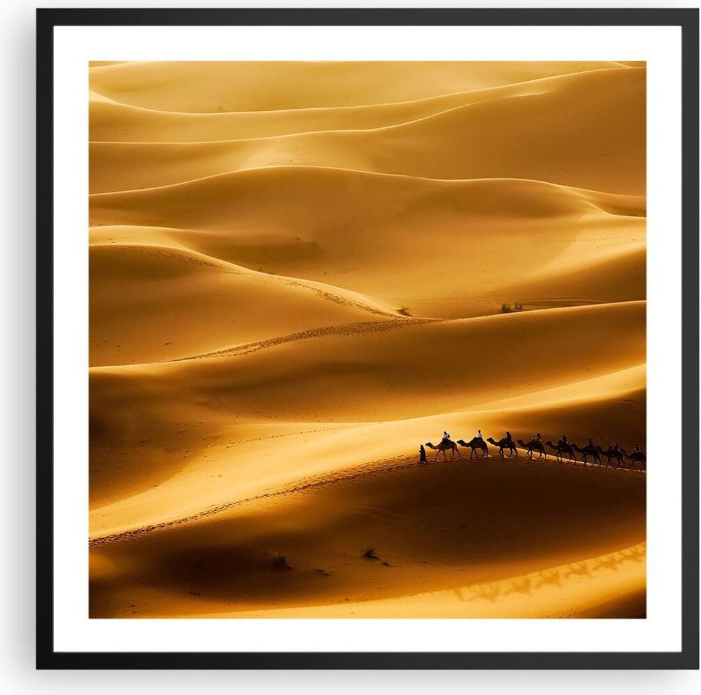 Gerahmtes Poster - Schwarzer Rahmen - Afrika Sahara Kamel Landschaft - 60x60 cm - Wand Bild - Wanddeko - Wandbilder - Wandposter - Bilderrahmen - B...