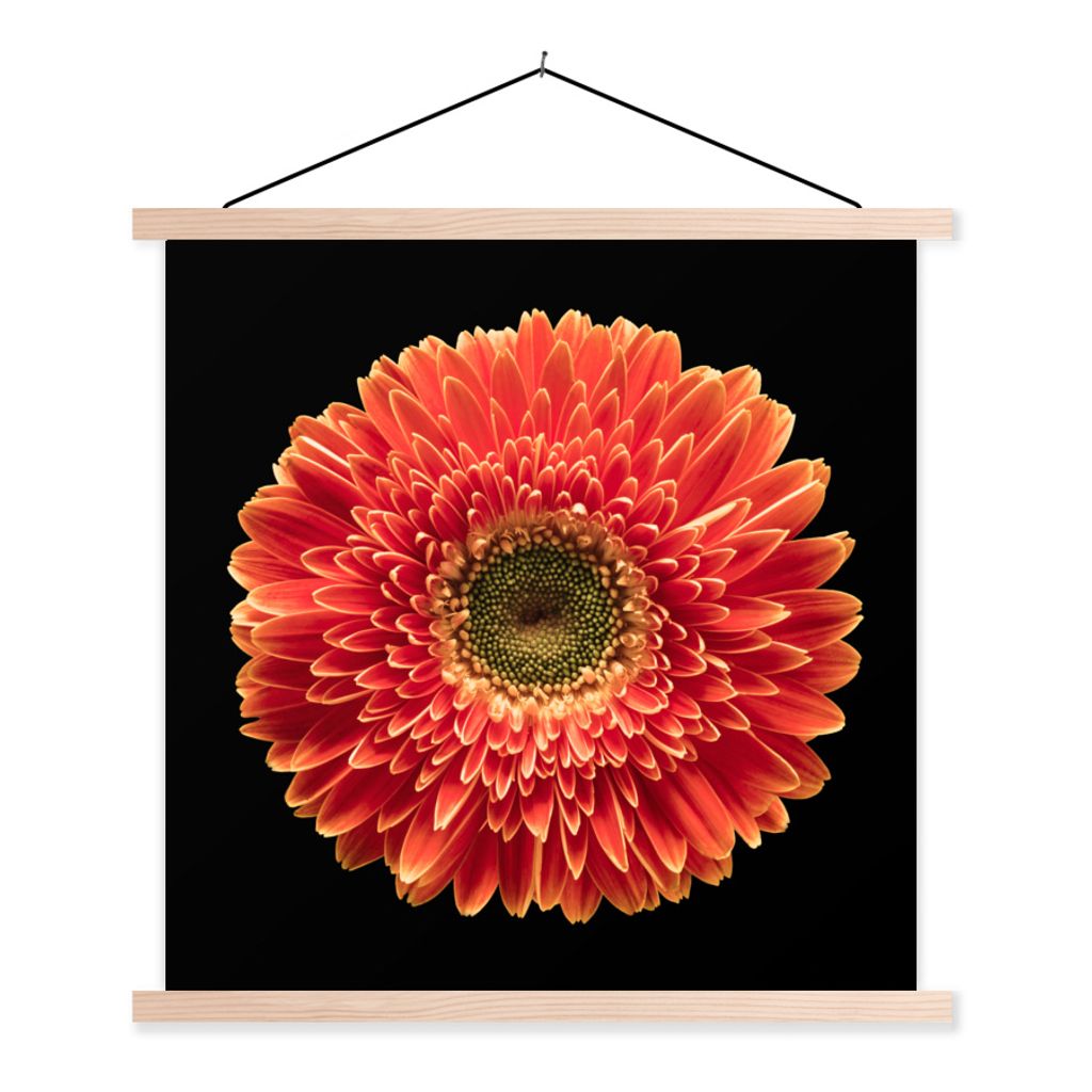 MuchoWow Textilposter Eine orangefarbene Gerbera-Blüte vor schwarzem Hintergrund 60x60 cm mit holzfarbenen Rahmen - Wanddekoration