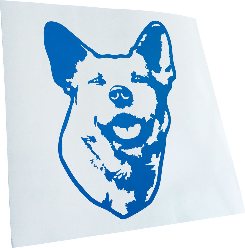 Kiwistar - Autoaufkleber - Australian Cattle Dog Hund - Blau - 50x36cm - Aufkleber für Auto, Laptop, Fahrrad, LKW, Motorrad mehrfarbig JDM Decal R...