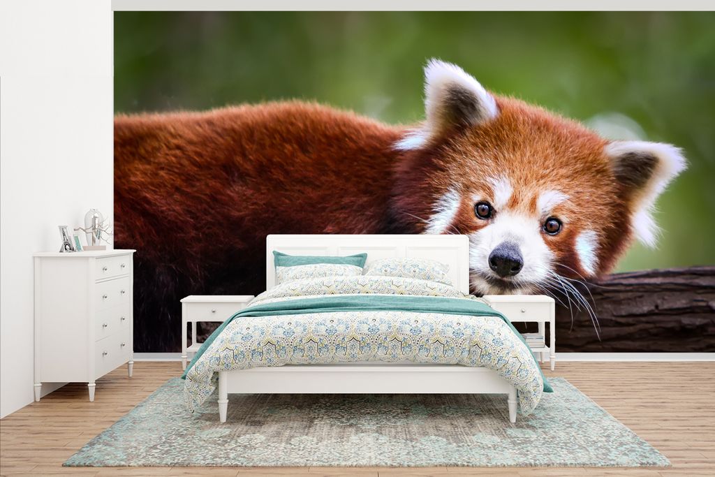 MuchoWow Fototapete für Wohnzimmer oder Schlafzimmer Wandtapete Vinyl Motivtapete Panda - Holz - Makro - 465x260 cm - Hintergrundbild