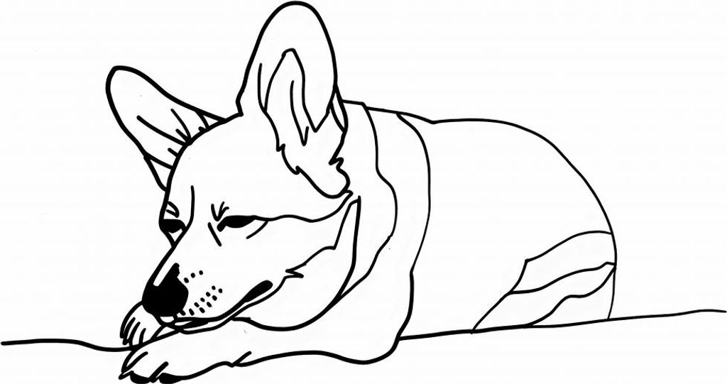 Plakat 56,6x86,4cm Schlafender Corgi