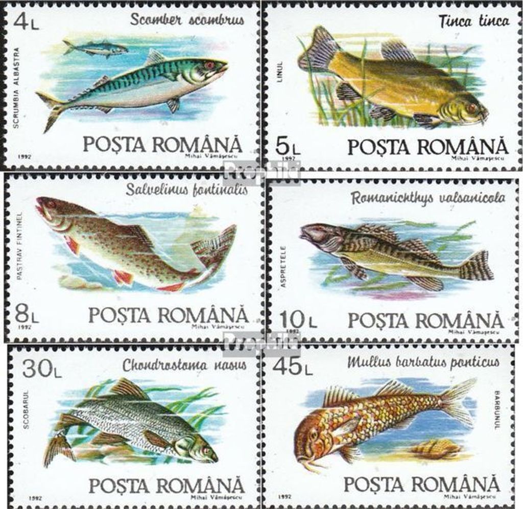 Briefmarken Rumänien 1992 Mi 4776-4781 (kompl.Ausg.) postfrisch Fische