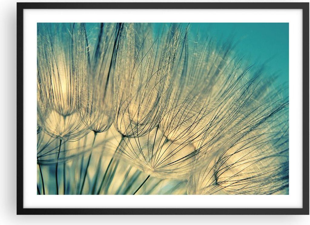 Gerahmtes Poster - Schwarzer Rahmen - Löwenzahn Makro Löwenzahn - 70x50 cm - Wand Bild - Wanddeko - Wandbilder - Kunstposter - Wandposter - Bilde...
