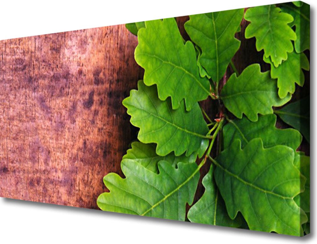 Tulup Leinwand-Bilder 100x50 Wandbild Canvas Kunstdruck Eiche Blätter Pflanzen