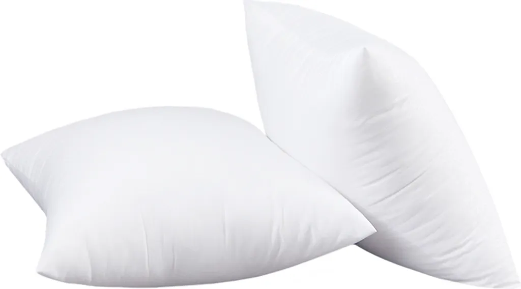 Adieu Coussins Plats : Lot de 2 Inserts 55x55 cm Coton PP Gonflant