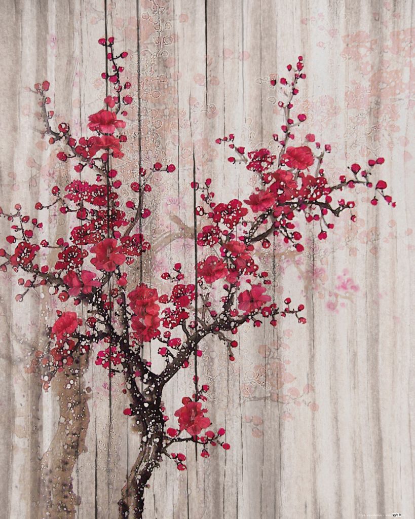 Frühling Kunstdruck Bild - Rote Quittenblüten (50 x 40 cm)