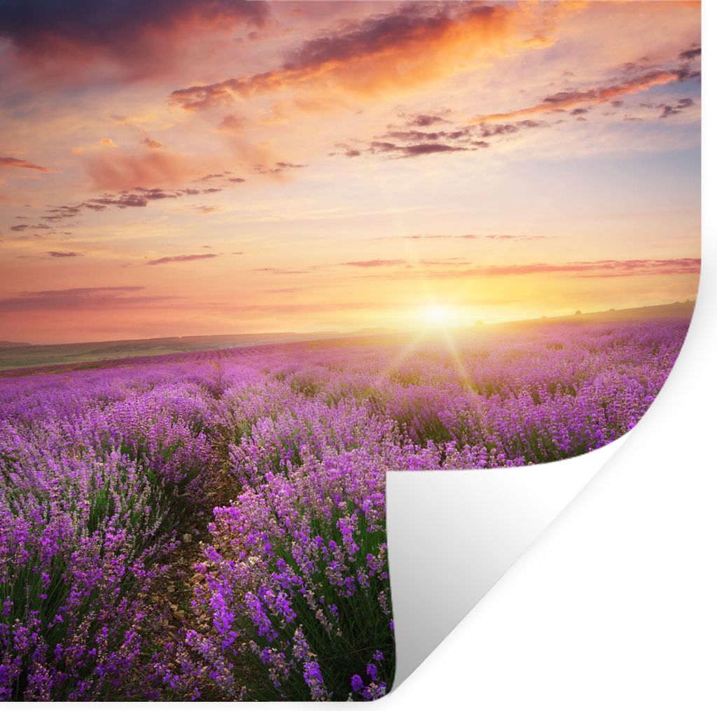 MuchoWow Wandtattoo Wandsticker Wandaufkleber Lavendel - Sonne - Blumen 30x30 cm Selbstklebend und Repositionierbar - Repositionierbar - Wasser a...