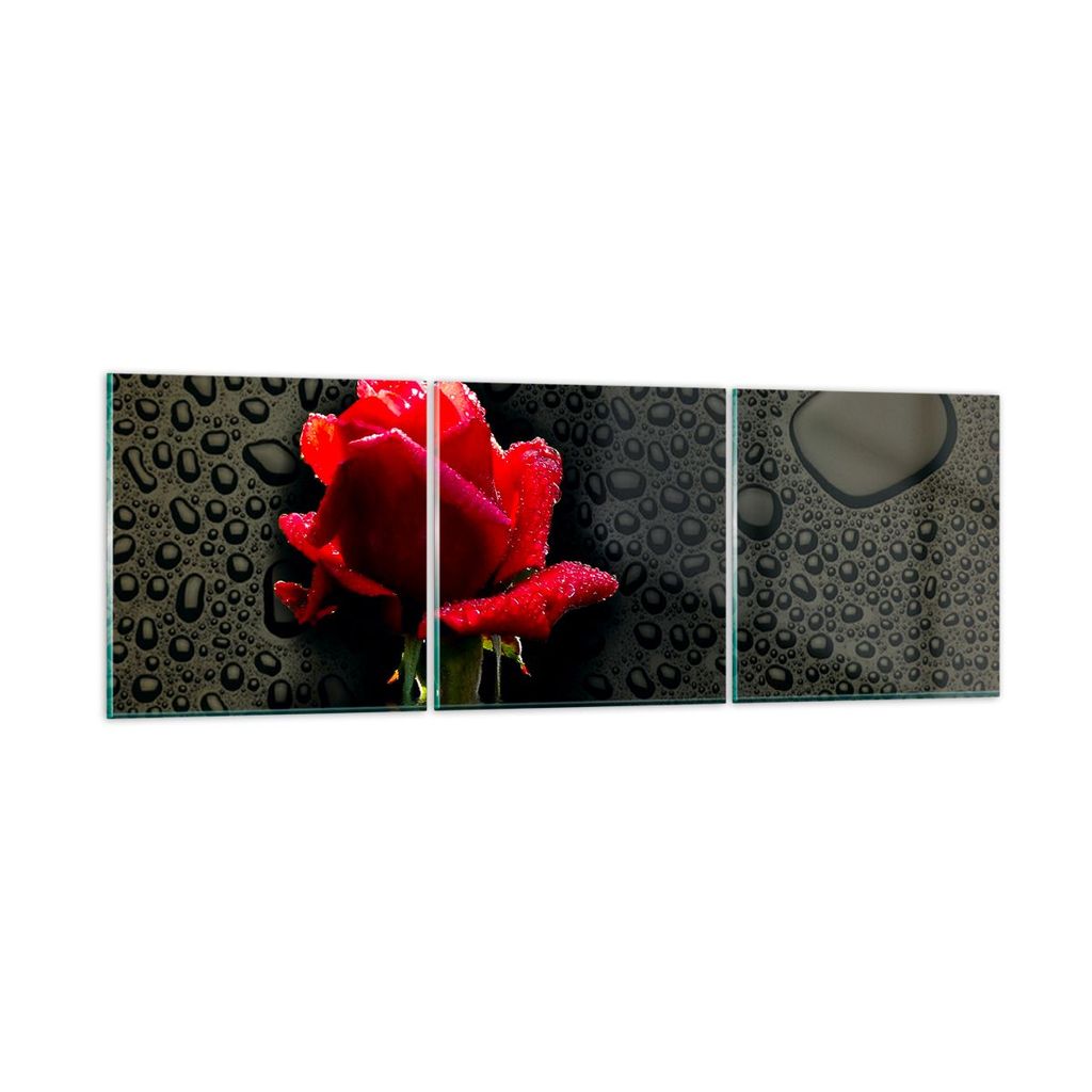 Bilder auf glas - Blume rote rose wasser tau - 90x30cm - Glasbilder - Wandbilder - Kunstdruck - zum Aufhängen bereit - Wanddekoration aus Glas - G...