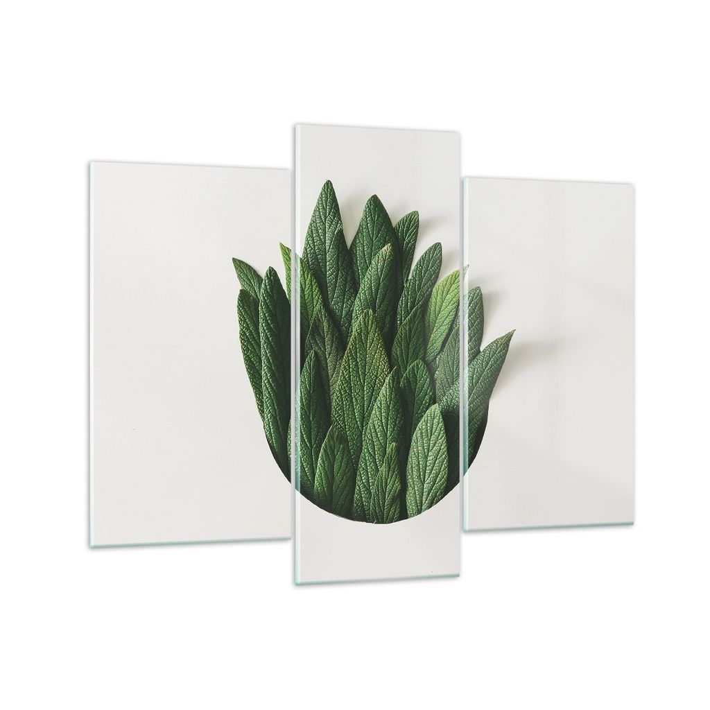 Bilder auf glas - 3 Teile - Salbei Medizin Blätter - 130x100cm - Glasbilder - Wandbilder - Bilder - zum Aufhängen bereit - Wanddekoration aus Gla...