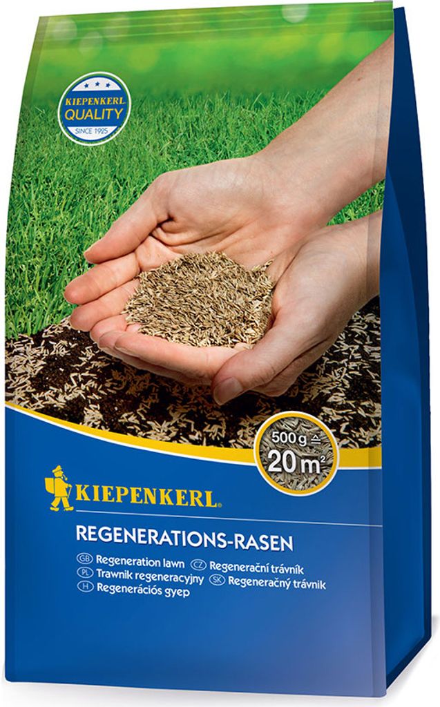 Artikelbild 1 von 'Regenerations - Rasen (500 g)' aus der Kategorie Rasensamen