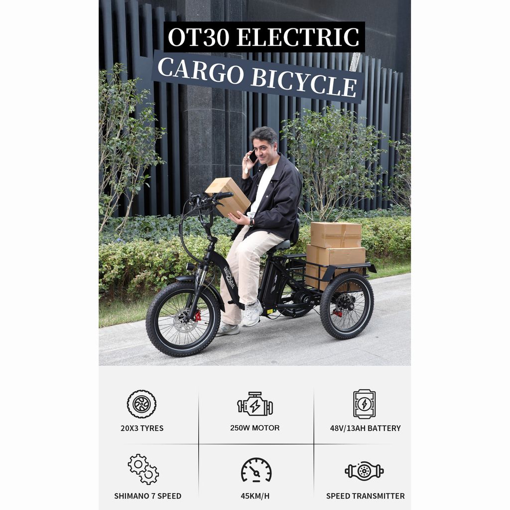 Onesport 20" faltbares Elektro-Dreirad schwarz mit 250W Produktbild 4