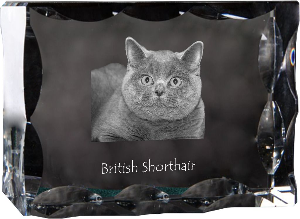 Britisch Kurzhaar - Kristall mit Katzenbild, Glasstatuette mit Bild, einzigartiger Bilderrahmen der Marke Art-Dog