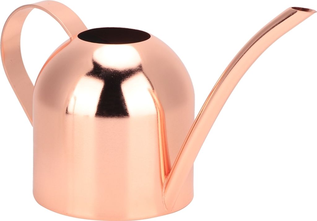 500 ml Edelstahl-Gießkanne mit langer Öffnung, Sprinklertopf für Zimmerpflanzen im Außen- und Innenbereich, Roségold