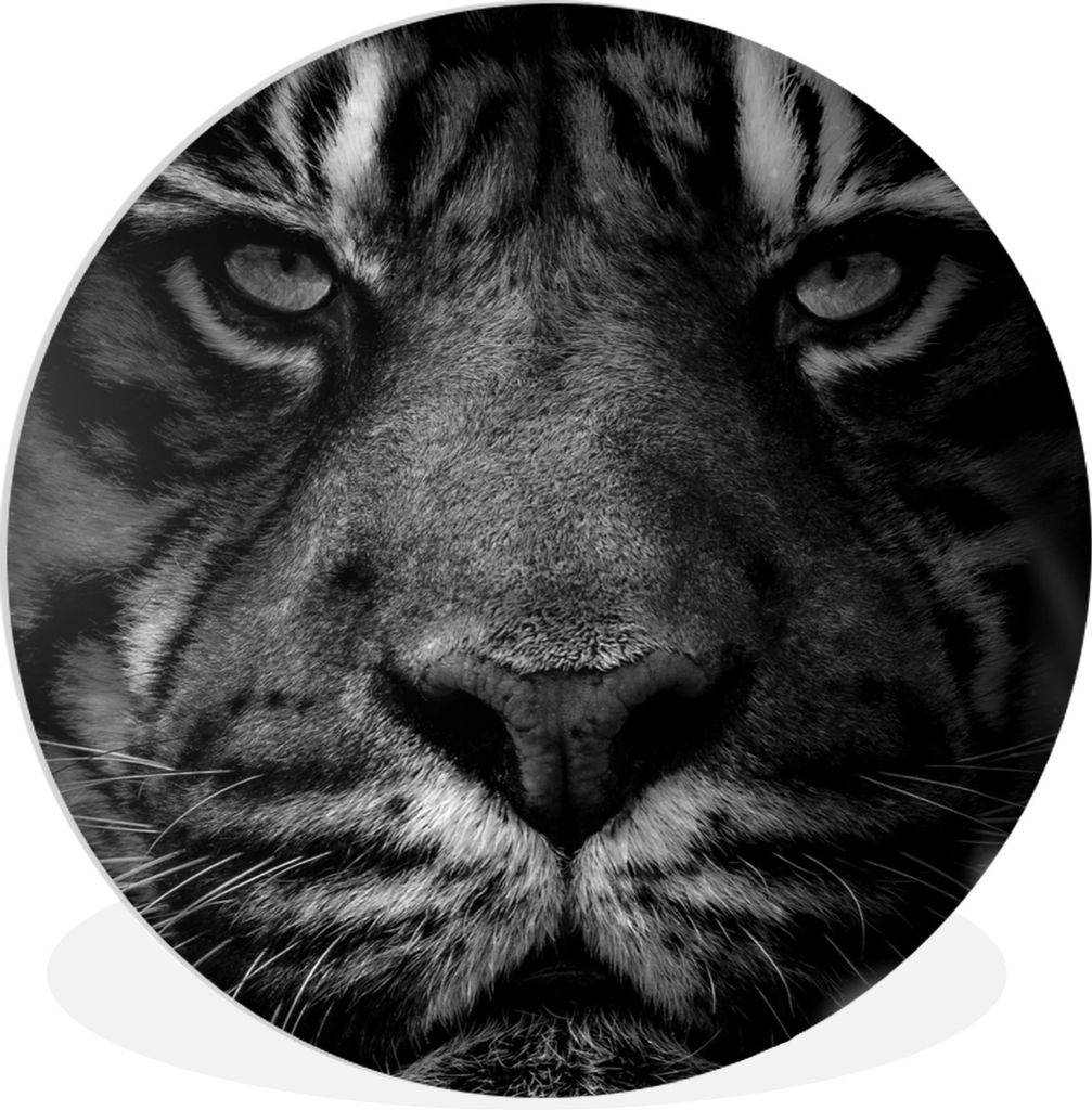 MuchoWow Rundes Wandbild - Runde Bilder Dschungel - Tiger - Wilde Tiere - Schwarz - Weiß Ø 90 cm Kreis Wanddekoration Kunststoff - Wandkreis - ...