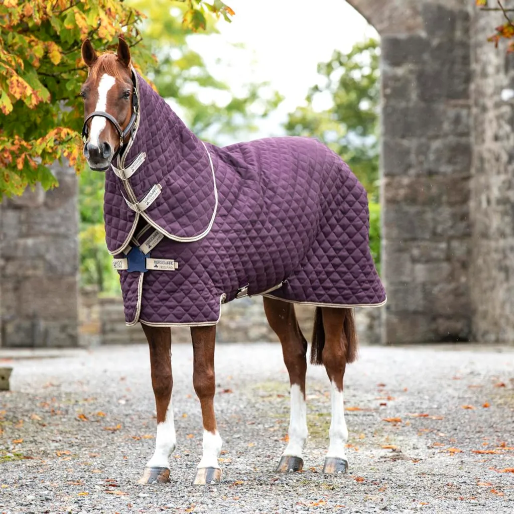 Amigo Stable Plus 200g avec Fermeture DISC Horseware Fig/Navy 125