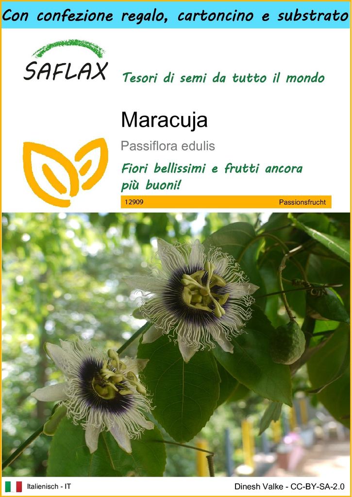 SAFLAX Set regalo - Maracuja - 40 semi - Passiflora Immagine del prodotto 