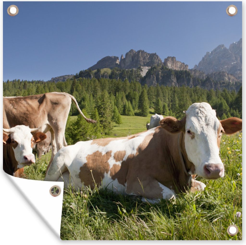 MuchoWow 50x50 cm Outdoor-Poster Gartendeko Sichtschutz Garten Poster für den Garten Kühe - Gras - Schweiz
