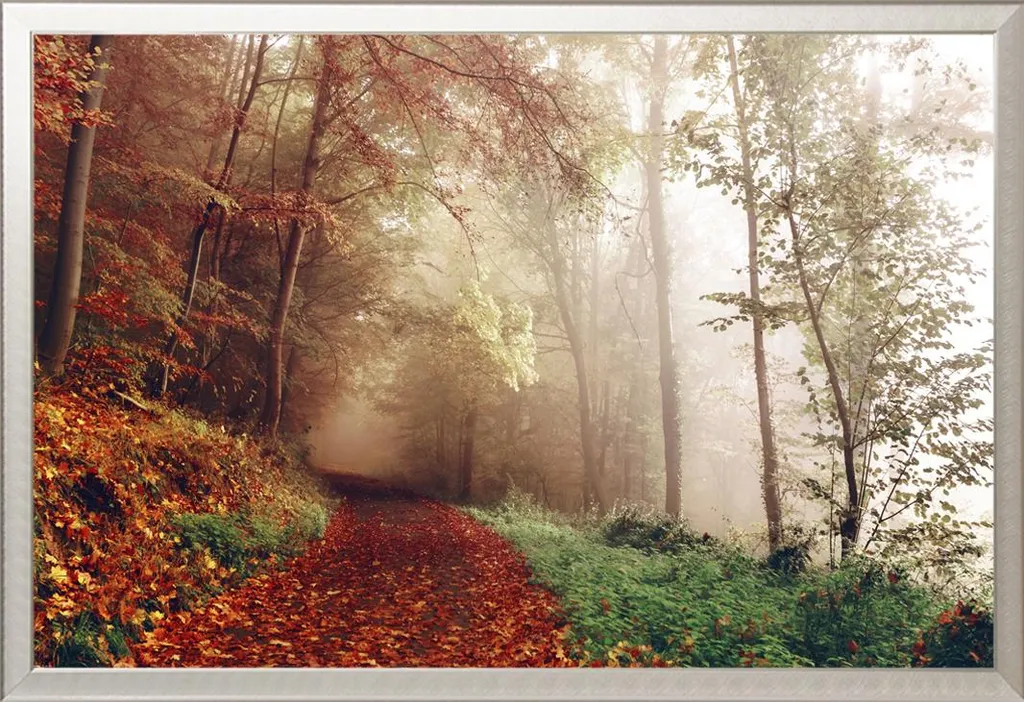 Décoration Murale Nature Forêt Automne : Poster Encadré Aluminium Argent