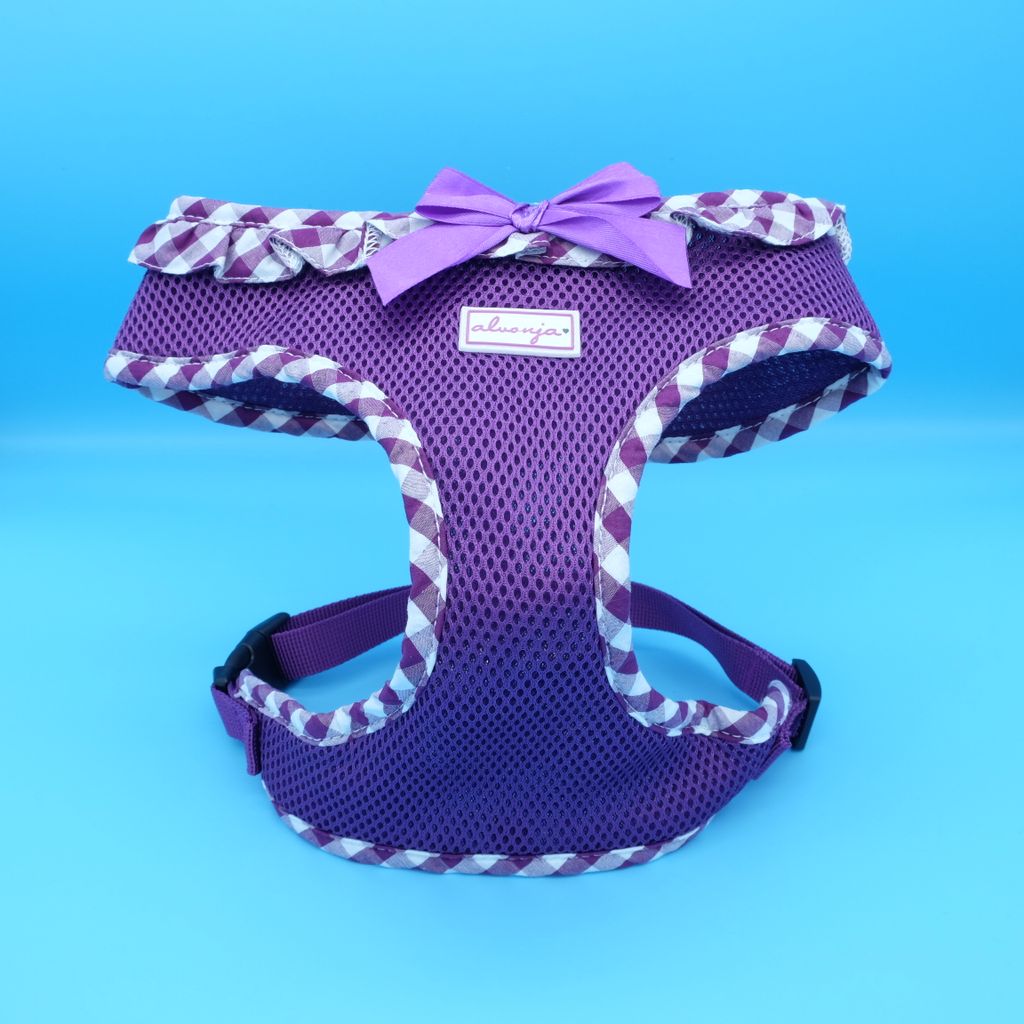 Klassisches Leder-Hundehalsband Mit AirTag-Halter – Verstellbar Für Kleine & Mittlere Hunde & Katzen, Schwarz, Größe S