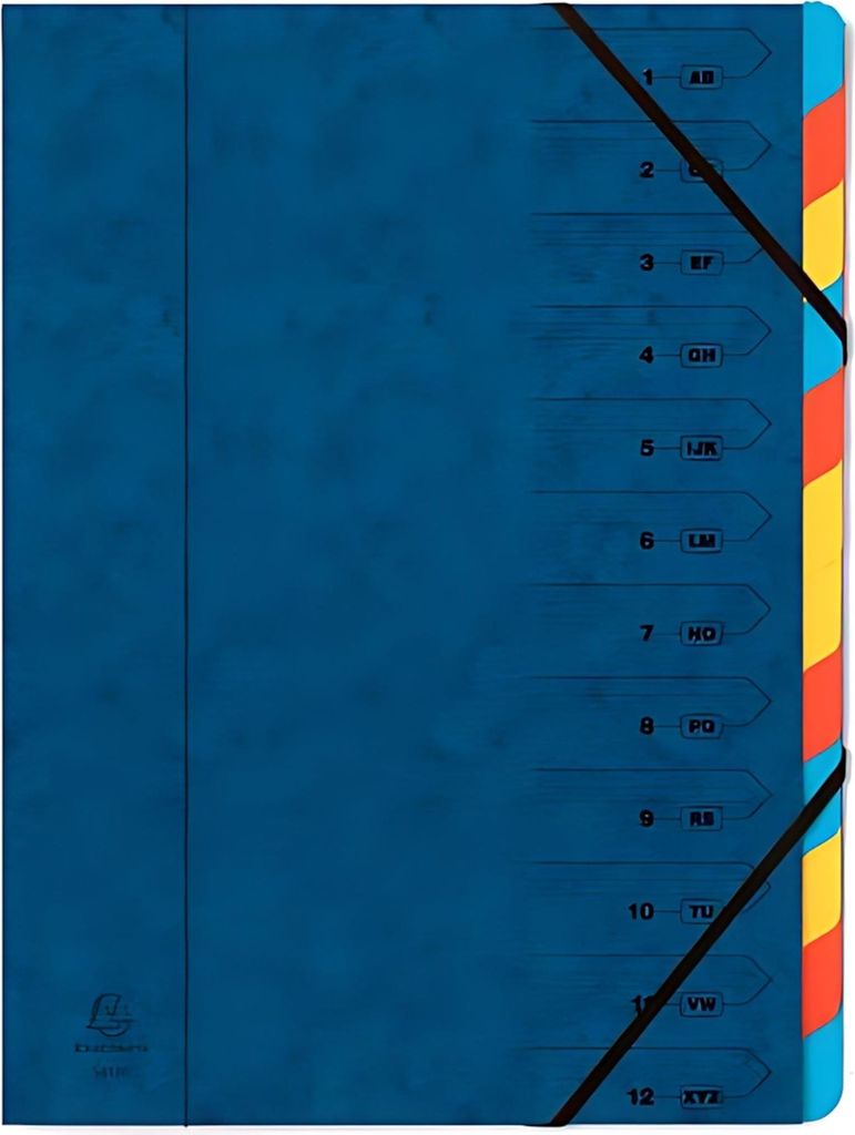 Organizer EXACOMPTA, DIN A4, cartone, 12 cartelle, blu Immagine del prodotto 