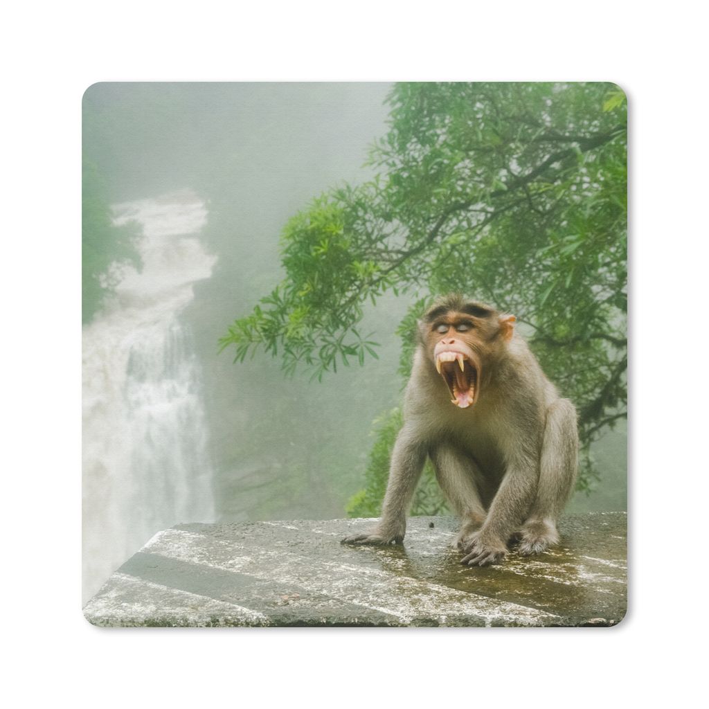 MuchoWow Mauspad Mousepad Schreiender Affe vor Wasserfall 20x20 cm - Mousepads - Maus Mat - Pad - Mausunterlage - Desk Mat - Bureauartikeln