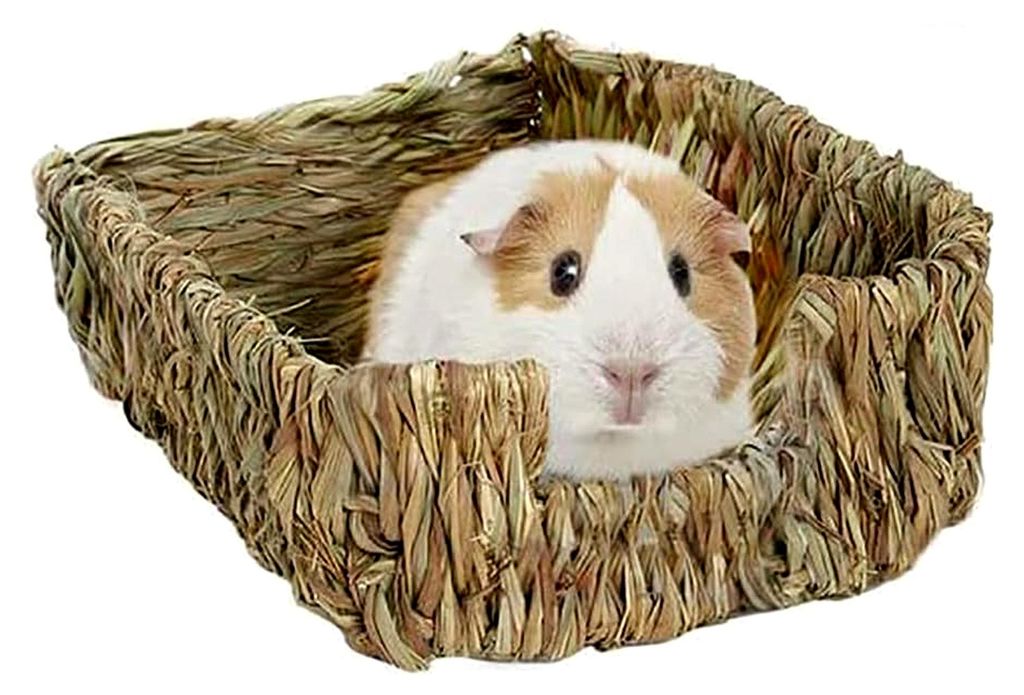 Handgefertigtes Grasbett für Meerschweinchen, Chinchillas, Kaninchen und andere Kleintiere