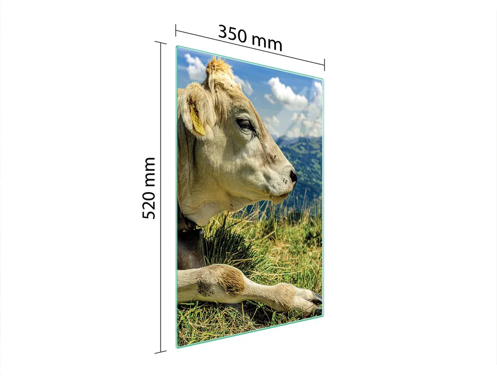 Tagliere in vetro 35x52 mucca - 2